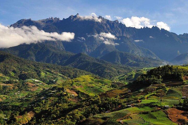 Kinabalu Park & Poring Hot Springs Tour with Desa Dairy Farm