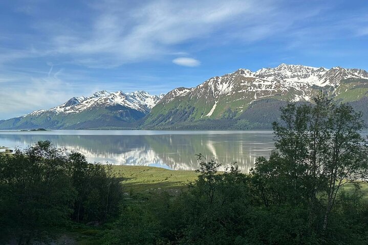 Alaska Nature Immersion: Forest Therapy Tour in Haines, Alaska