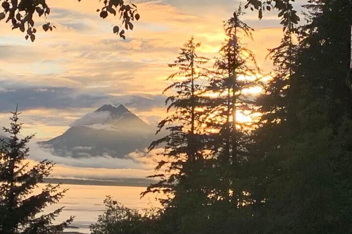 Alaska Nature Immersion: Forest Therapy Tour in Haines, Alaska