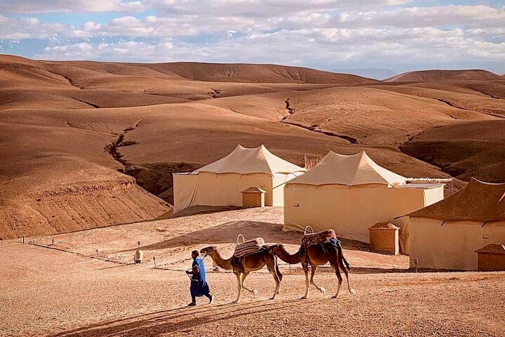 Agafay Desert - Quad camel and dinner show