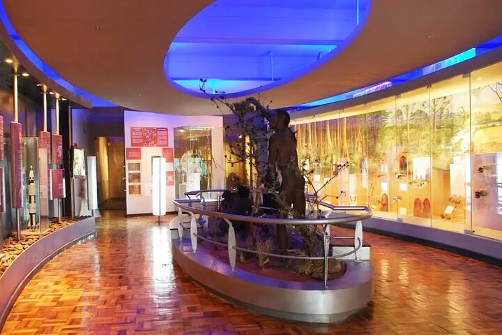 Private Nairobi City Tour with Lunch at Carnivore