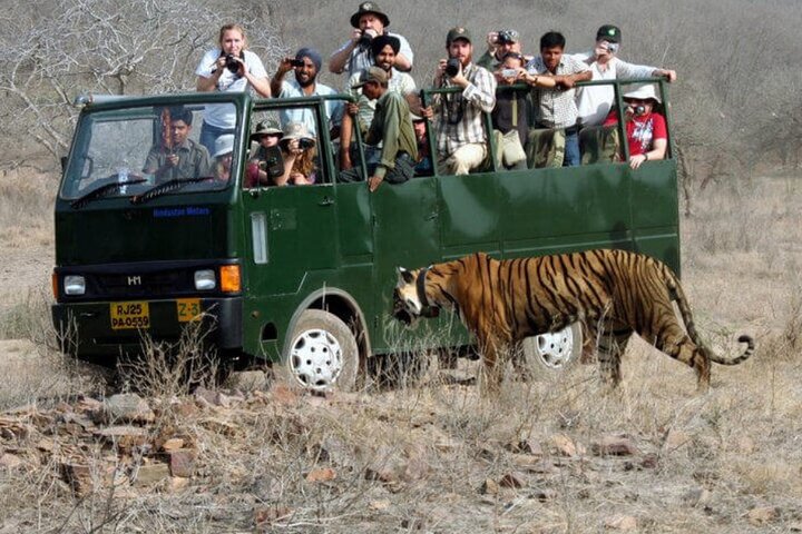 Golden Triangle & Ranthambore: 4-Day Private Tour from Delhi