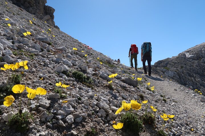 Private Guided Hike in the Dolomiti Bellunesi National Park