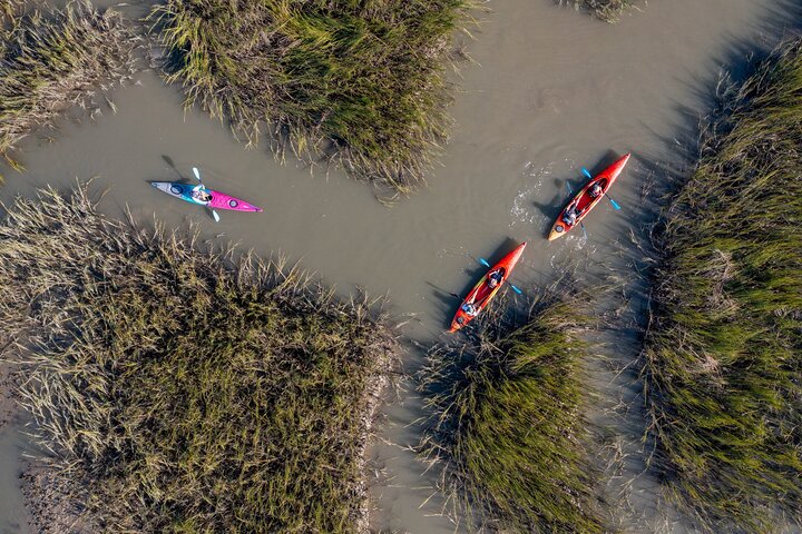 Dolphin Kayak Tour on Folly Beach