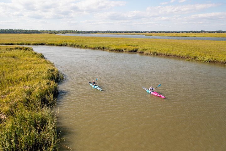 Dolphin Kayak Tour on Folly Beach