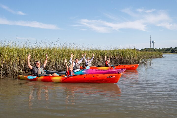 Dolphin Kayak Tour on Folly Beach