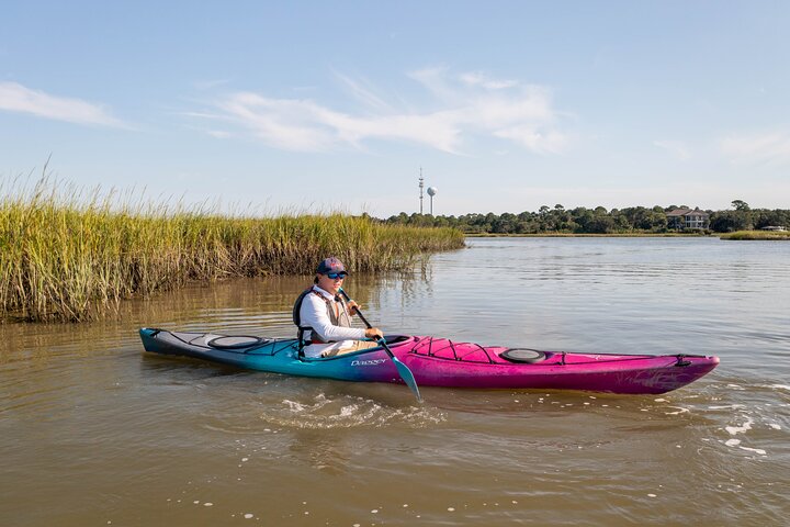 Dolphin Kayak Tour on Folly Beach