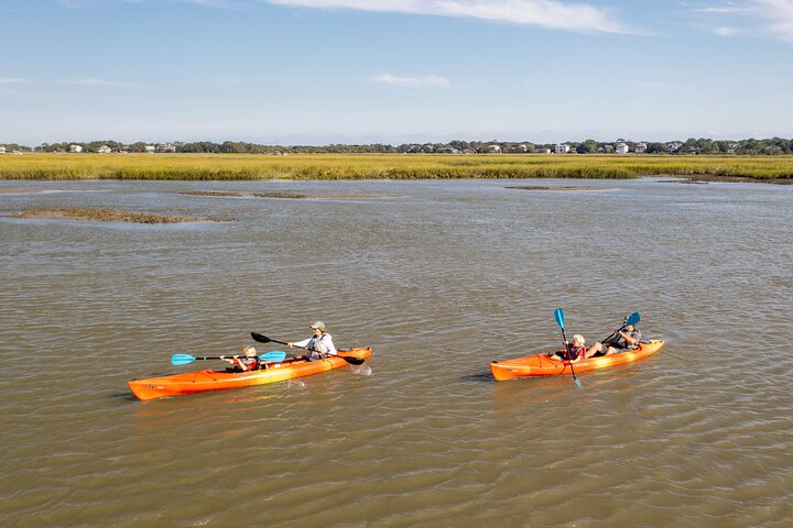 Dolphin Kayak Tour on Folly Beach