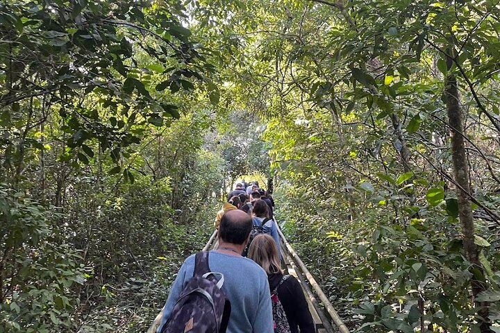Iguazu Falls: Argentinian Side with Boat Ride, Jungle-truck and Train