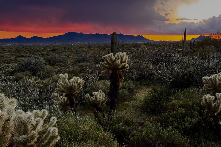 Sonoran Desert Jeep Tour at Sunset