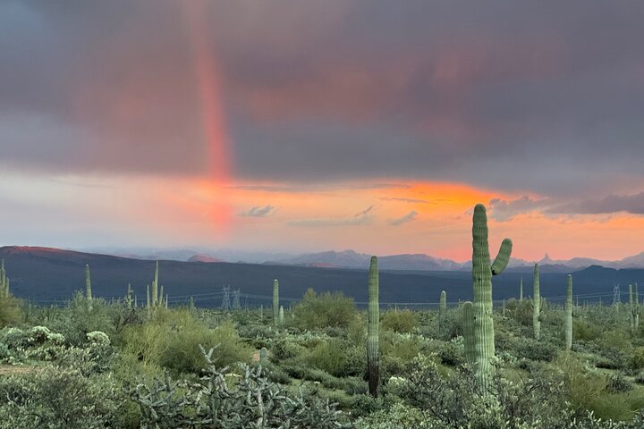 Sonoran Desert Jeep Tour at Sunset