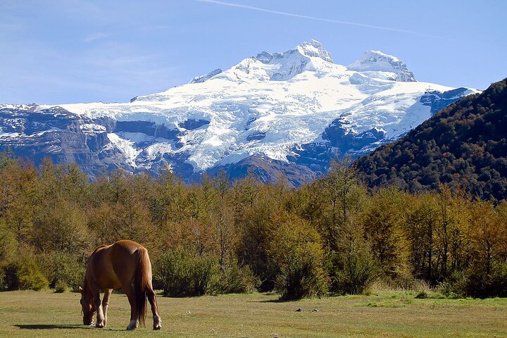 Discover Cerro Tronador with Ventisquero Negro Glacier
