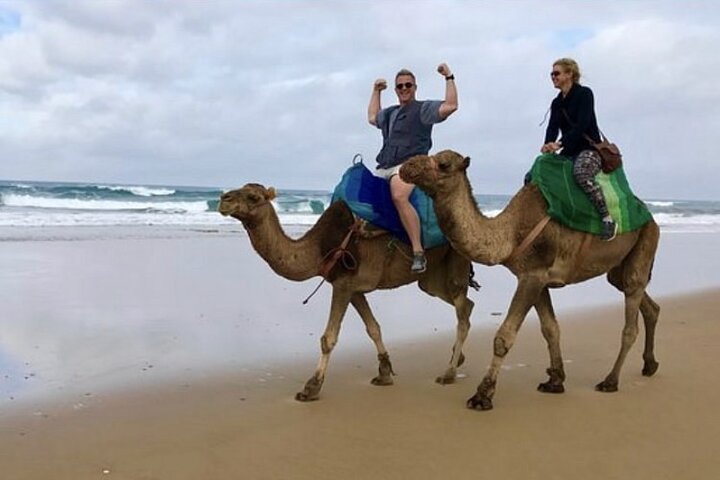 Luxury Private Tour of Tangier from Gibraltar All Inclusive