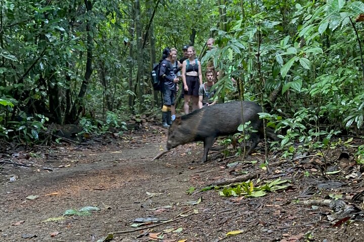 Corcovado National Park Sirena Day Tour From Puerto Jimenez