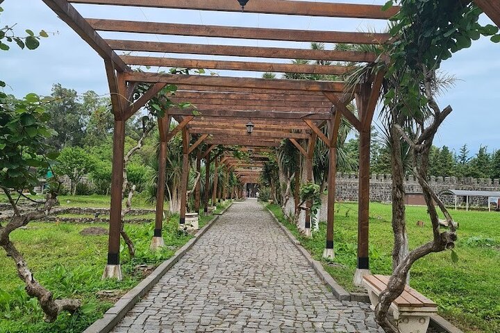 Private Full Day Tour from Batumi to Waterfalls