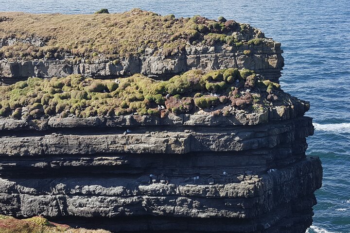 Private Tour: Stunning Cliffs of Moher and the Burren from Cork