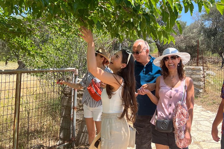 Unforgettable Naxos in 6 Hours: Villages, Tastings & Lunch