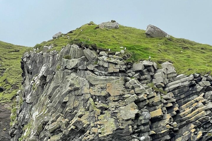 Guided Puffin Safari Boat Tour