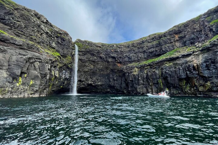 Guided Puffin Safari Boat Tour