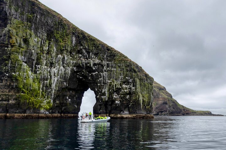 Guided Puffin Safari Boat Tour