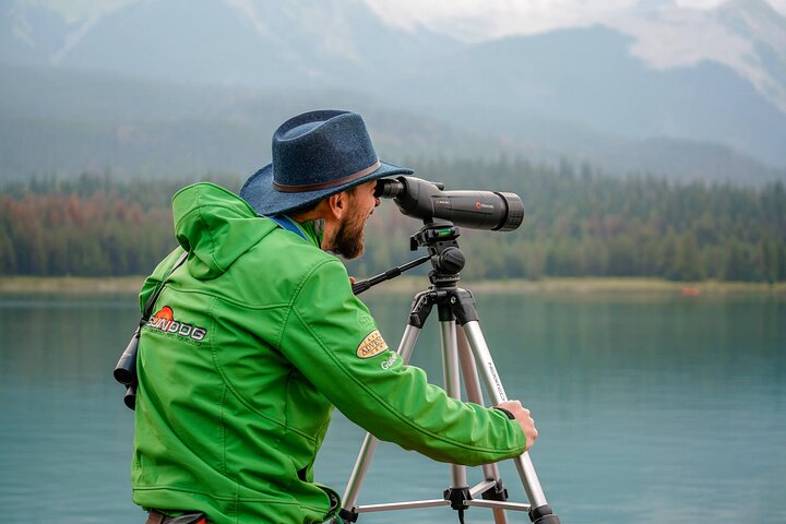 Discover Jasper and its Wildlife