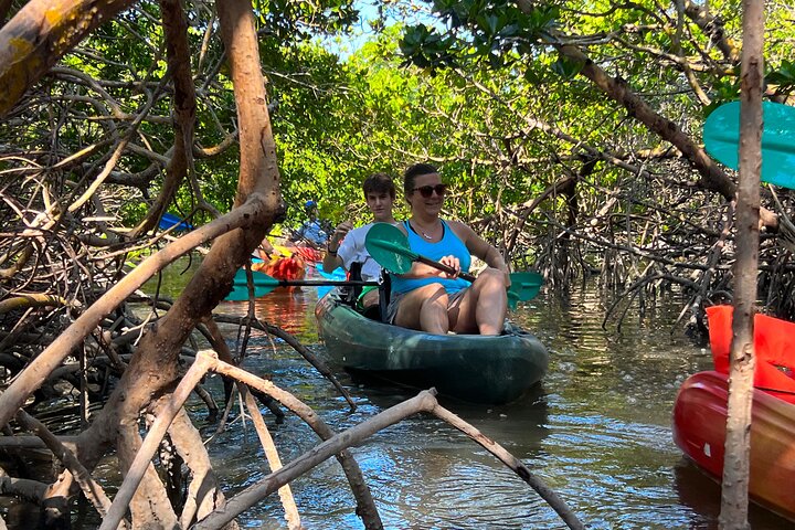 Bonita Springs Eco Kayak Tour – Best Gear, Premium&Clear Kayaks