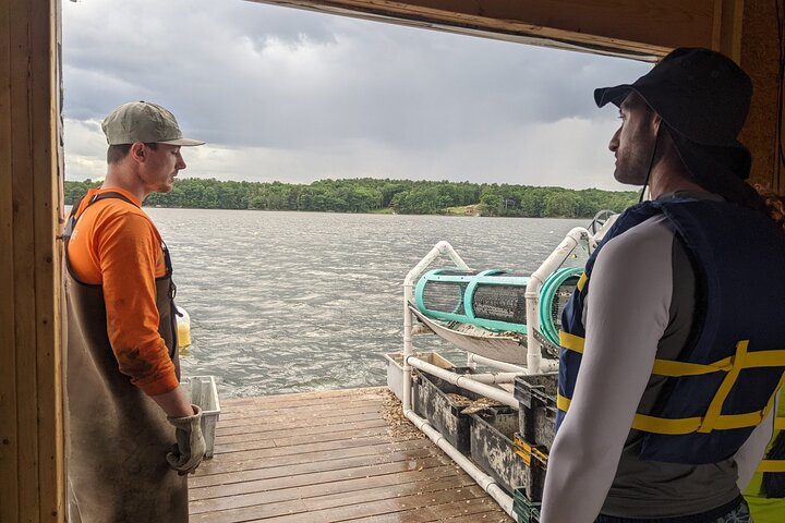 Oyster Tasting and Kayak Tour
