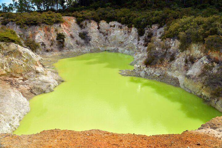Auckland: Rotorua Tour with Waiotapu, Te Puia and Maori Haka