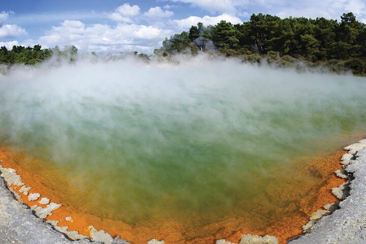 Auckland: Rotorua Tour with Waiotapu, Te Puia and Maori Haka