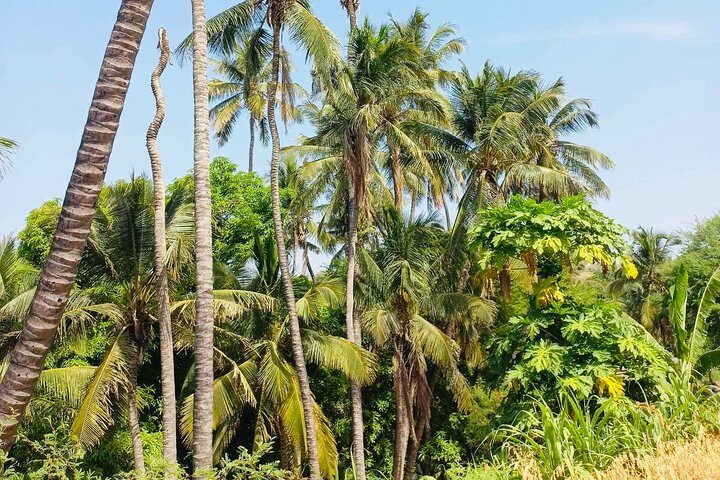 Hiking to Grotto de Águas Bellas – Scenic Cave Adventure
