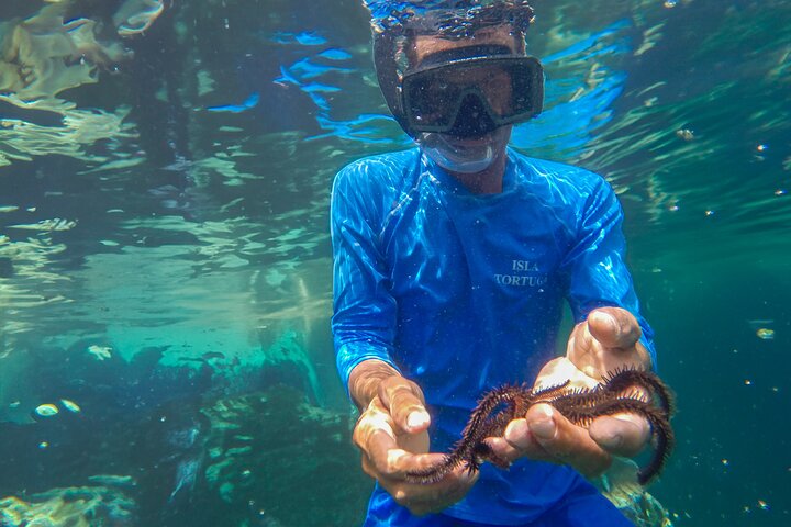 Tortuga Island Tour with Costa Cat