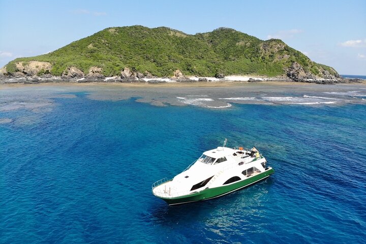 Okinawa/Naha:Full-Day Kerama Island Experience Diving/Snorkeling