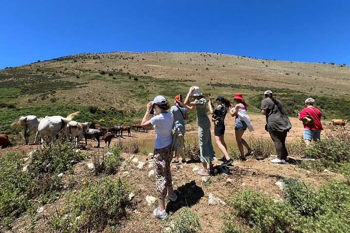 1-Day Tour in Blue Eye, Monastery, Gjirokaster and Lekursi Castle