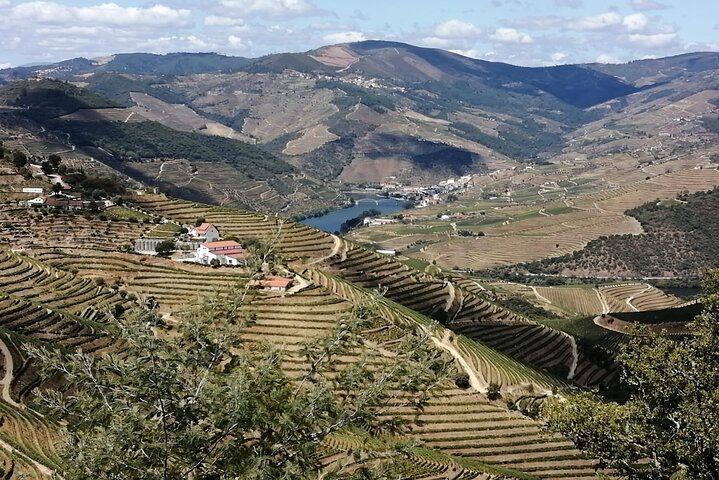 Private e-Bike in Douro Valley for Half Day Tour