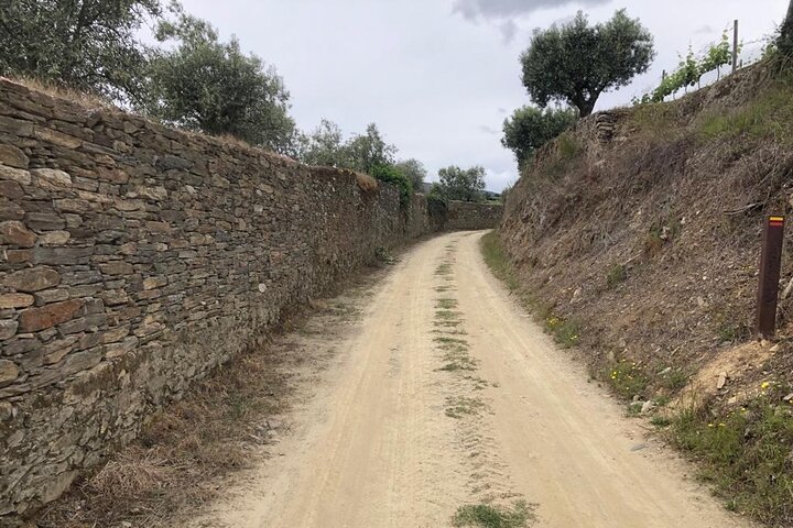 Private e-Bike in Douro Valley for Half Day Tour