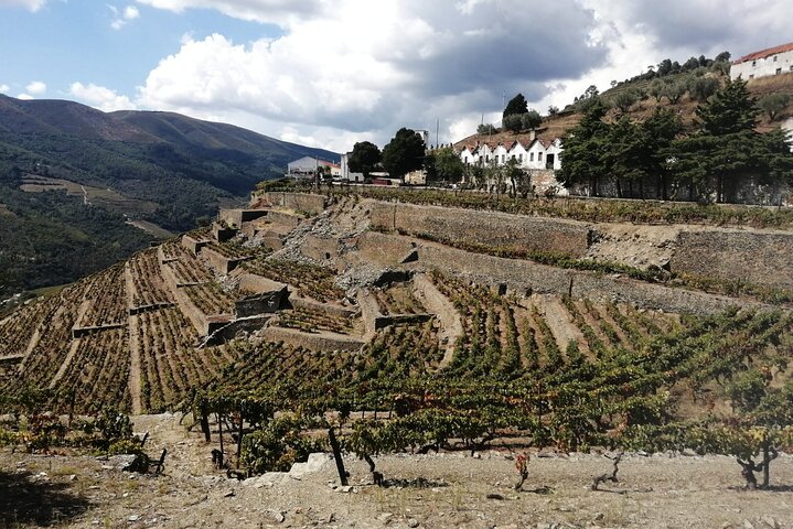 Private e-Bike in Douro Valley for Half Day Tour