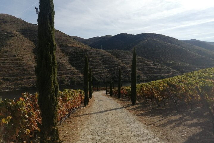 Private e-Bike in Douro Valley for Half Day Tour