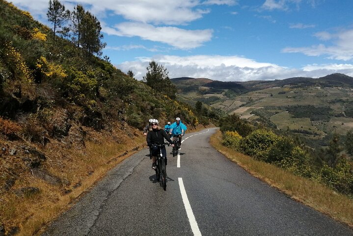 Private e-Bike in Douro Valley for Half Day Tour
