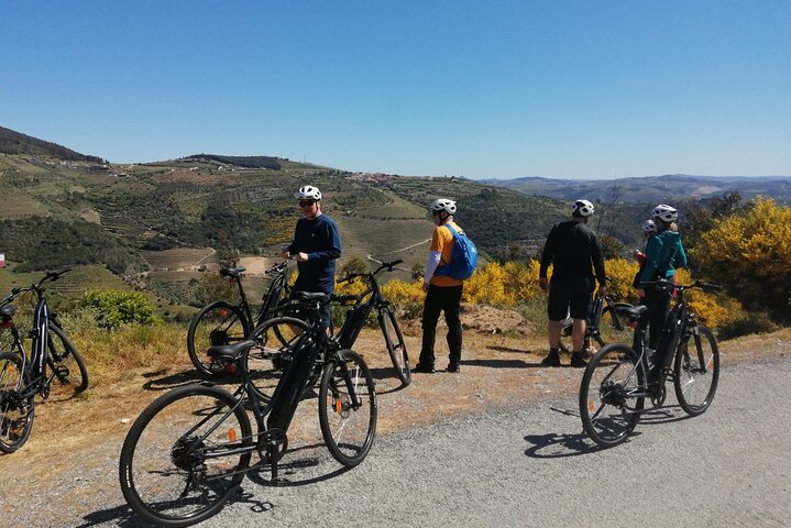 Private e-Bike in Douro Valley for Half Day Tour