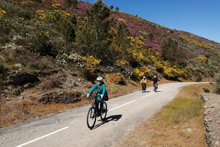 Private e-Bike in Douro Valley for Half Day Tour