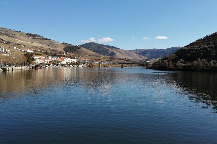 Private e-Bike in Douro Valley for Half Day Tour