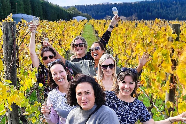 Half Day Martinborough Winery Tour from Wellington