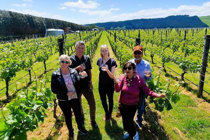 Half Day Martinborough Winery Tour from Wellington