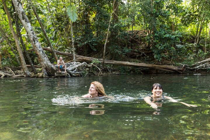 Daintree Rainforest and Cape Tribulation Full Day Tour