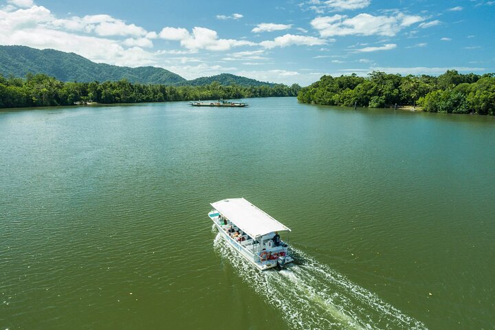 Daintree Rainforest and Cape Tribulation Full Day Tour