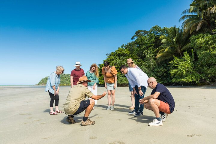 Daintree Rainforest and Cape Tribulation Full Day Tour