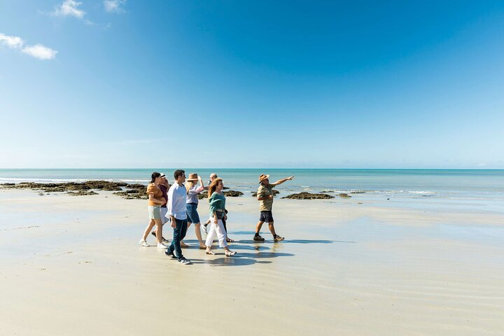 Daintree Rainforest and Cape Tribulation Full Day Tour