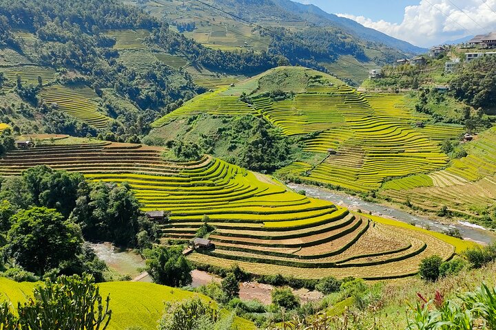 Full Day Private Trekking Mu Cang Chai