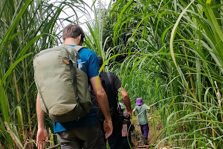 Half Day Private Trekking Mu Cang Chai_Morning or Afternoon