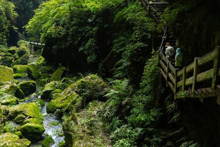Wulong Private Tour All Inclusive: Premium Vehicle & local Lunch